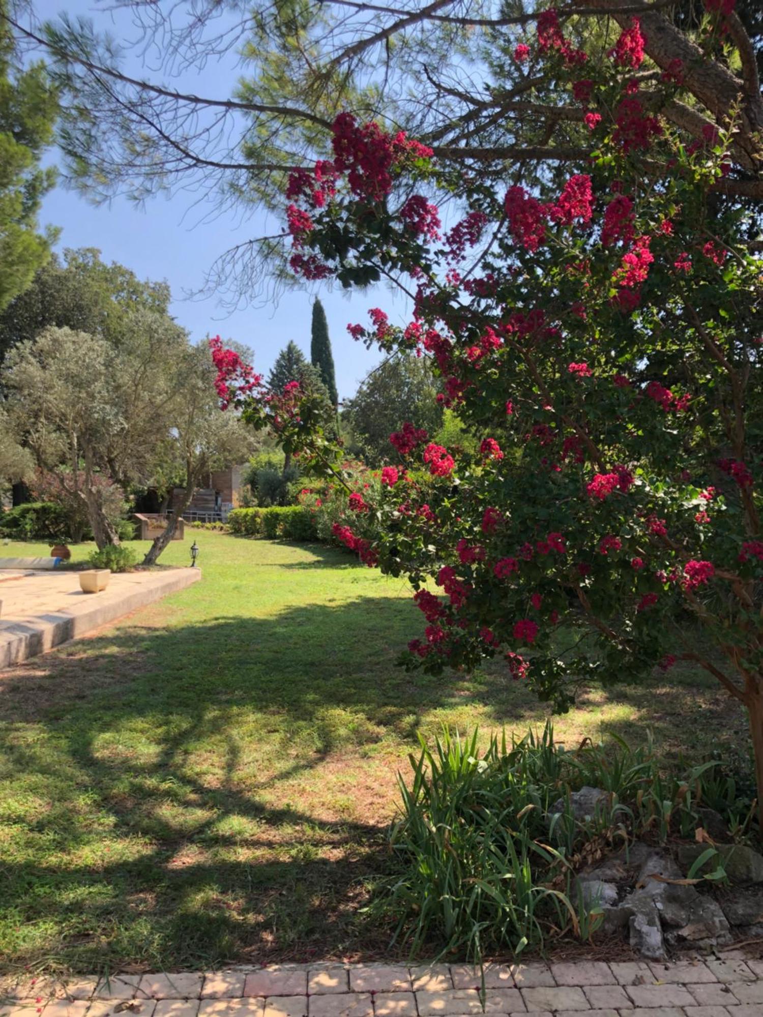 Gite En Provence Dans Grand Jardin Avec Piscine Partagee 코르닐론콩포우 외부 사진